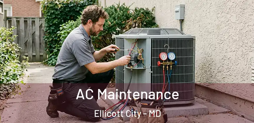 AC Maintenance Ellicott City - MD