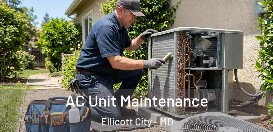 AC Unit Maintenance Ellicott City - MD